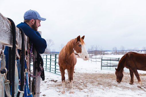 Man leaning on the ranch fence and admiring the horses