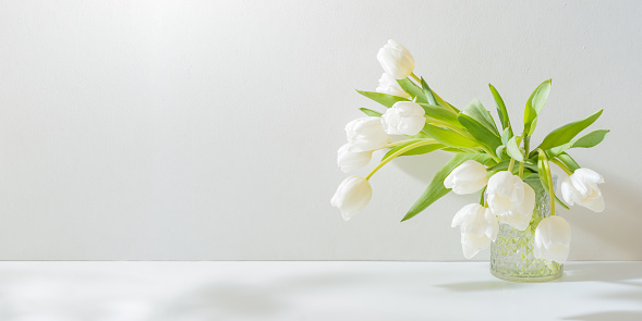 White spring tulips in a vase on a white table. Mock up for displaying works