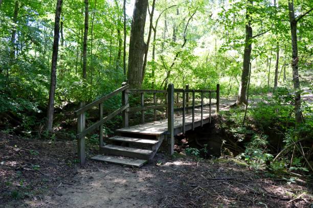 istock Old Wood Footbridge 1367205372