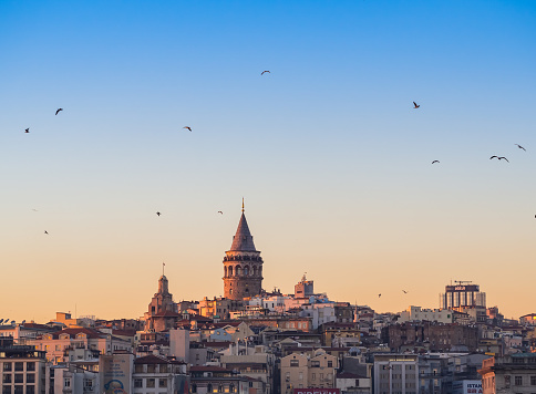 Istanbul, Turkey – March 18 2019: cityscape at dusk. View of the Galata Tower in the European part of Istanbul on a high hill in the Galata district. There are many seagulls flying over the tower.