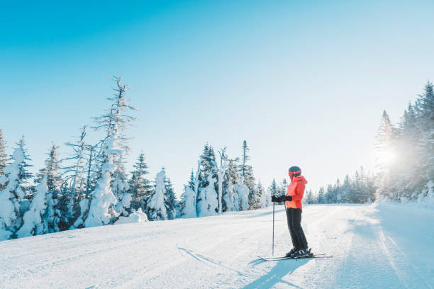 sciare. ritratto di sci della sciatrice alpina femminile che indossa casco, occhiali da sci freschi e giacca invernale rigida e guanti da sci in una giornata fredda di fronte agli alberi innevati sulla pista da sci - hardshell foto e immagini stock