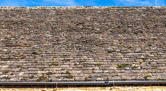 Moss and lichen growing on the traditional slate roof of an old property in Oxfordshire, England.