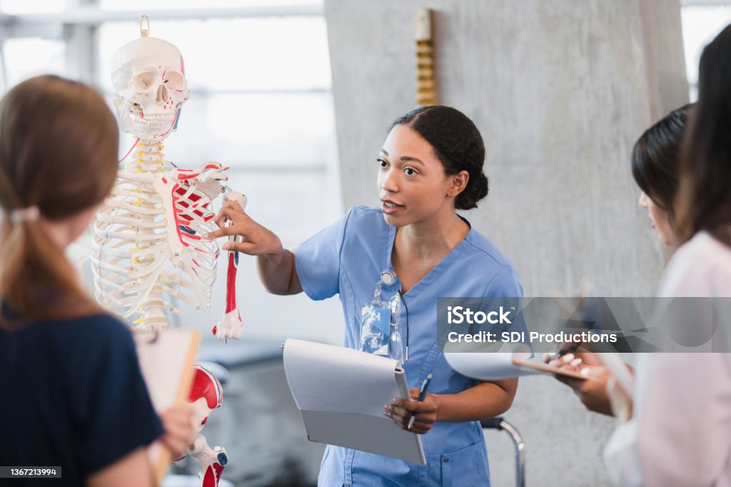 Young woman teaches class on human bone structure The young adult woman takes her turn to teach a class on the human skeleton as classmates take notes. Nurse Stock Photo