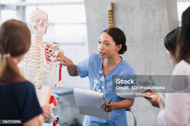 Young Woman Teaches Class On Human Bone Structure Stock Photo - Download Image Now - Nurse, Learning, Anatomy