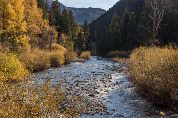 río que corre junto a un empinado y rocoso 4x4 camino de tierra estrecho de un carril en las montañas rocosas ee. uu. - crystal fotografías e imágenes de stock