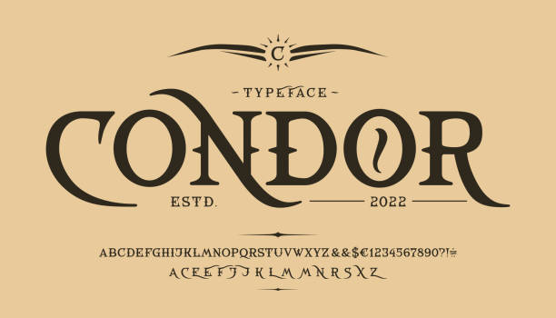 schriftart condor. vintage-design. altes etikett, logo - mittelalterlich stock-grafiken, -clipart, -cartoons und -symbole