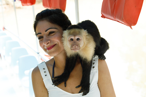 A capuchin monkey sits on a woman\