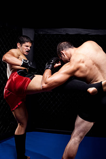 istock Mixed martial artists fighting - kicking 136721967