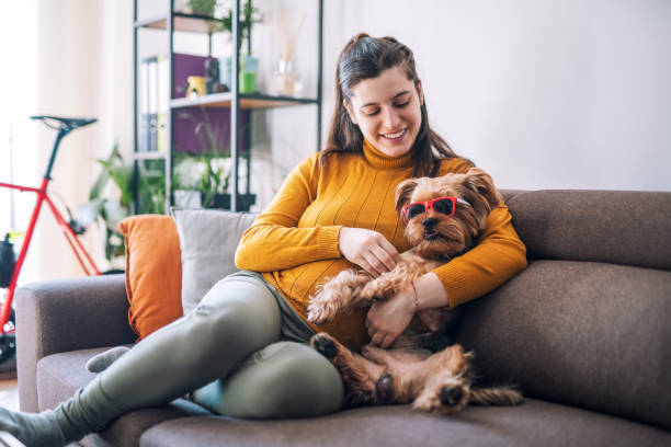 istock Playing with my doggy at home. 1367219752