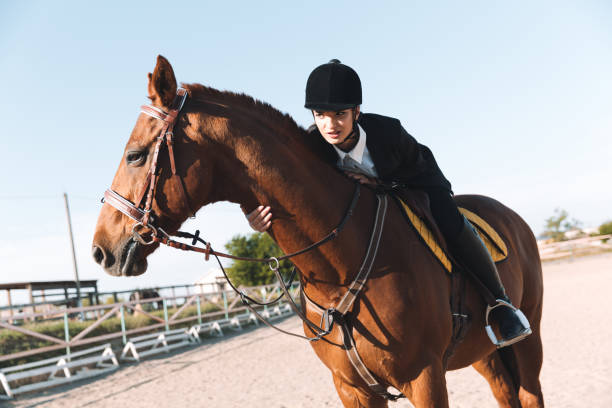 istock Concentrated young lady sitting on her horse. 1367220149