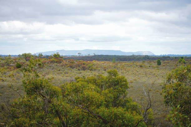 istock Horsham,  Victoria, Australia 1367220503