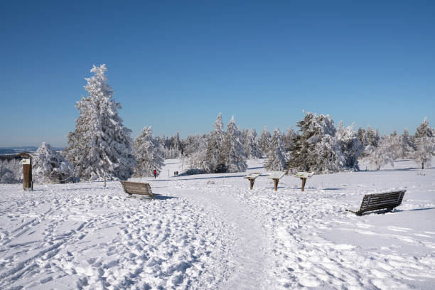 Winterberg, Germany - February 13, 2021: Panoramic landscape image of Kahler Asten during wintertime on February 13,2021 in Winterberg, Sauerland, Germany