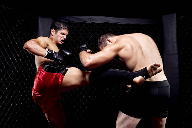 istock Mixed martial artists fighting - kicking 136722631