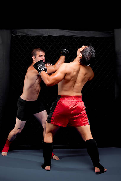 istock Mixed martial artists fighting - punching 136722713