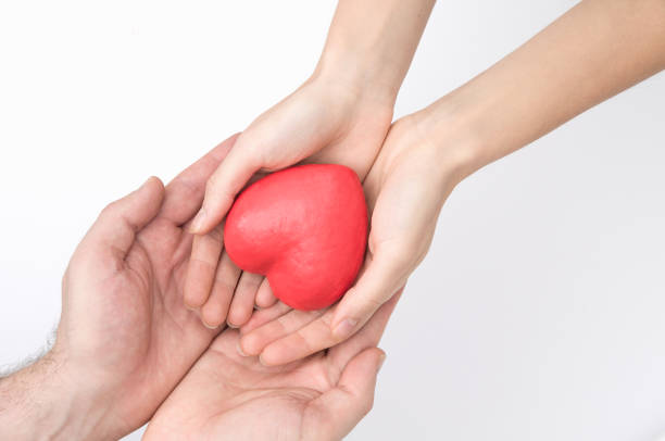 istock Women hands holding heart safe embraced by mans hands in flatlay 1367228962