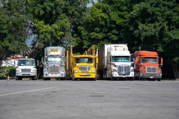 several trucks arranged in a parking lot