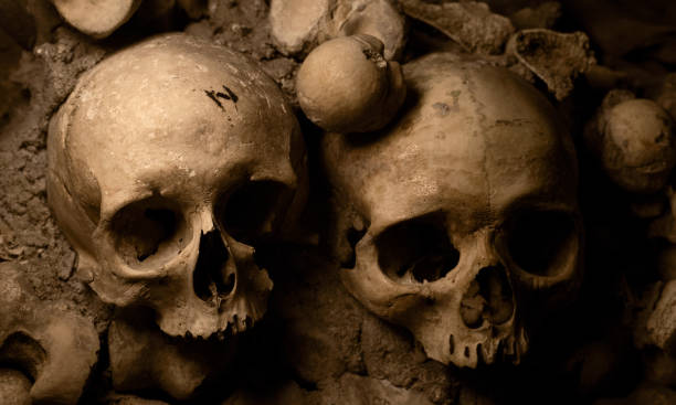 due teschi nelle catacombe di parigi - catacomb foto e immagini stock