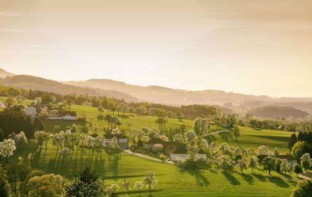 Baumblüte im Mostviertel, Ybbstal, Austria