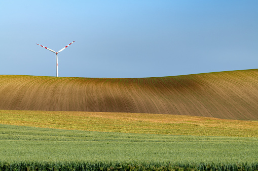 Wind turbine in a field