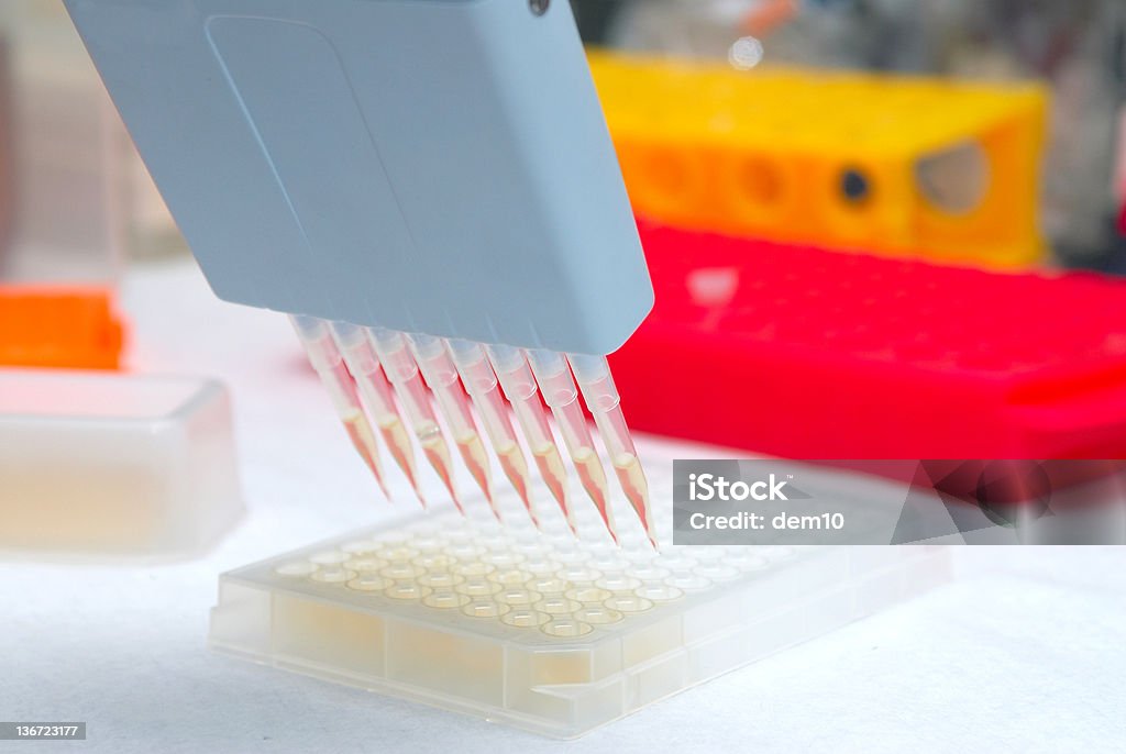 Research Series  Biology Stock Photo