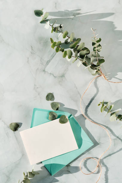 istock Blank postcard and envelope, copy-space. Fresh eucalyptus twigs and leaves 1367233142