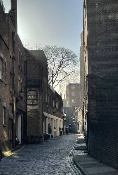 istock A Cobbled Mews in London 1367233486