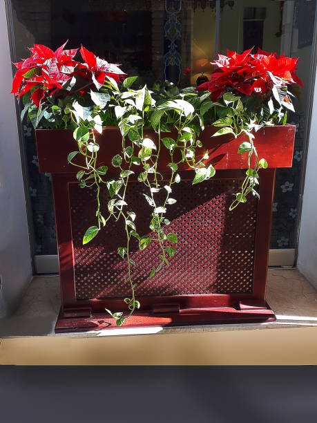 istock Christmas Decorations in Nerja on the Costa del Sol Spain 1367234193