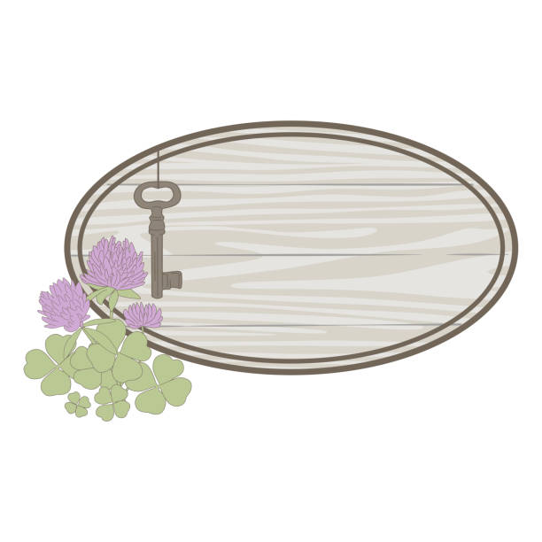 ilustrações de stock, clip art, desenhos animados e ícones de shamrock flowers - garden key