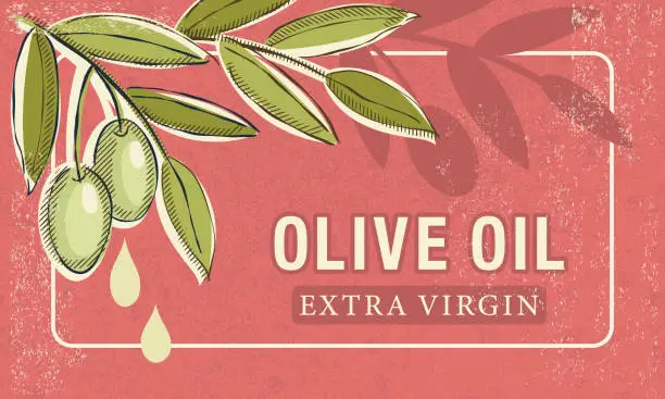 Vector illustration of Vintage Style Olives With Oil With Banner