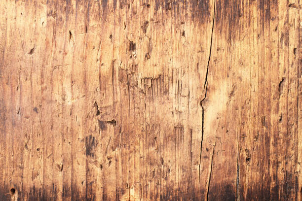 istock vintage board with a natural pattern, old wood texture 1367235461