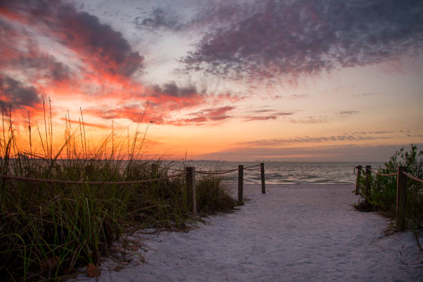 Morning sun on warm beach. Sanibel Island Florida￼