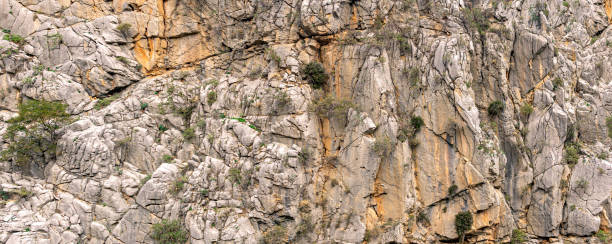 istock landscape, texture - sheer mountain cliff with cracks and vegetation 1367236428
