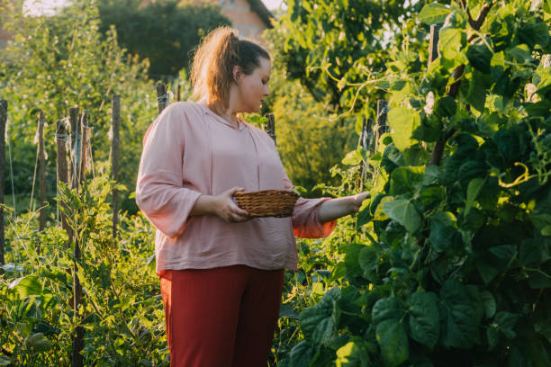 una vista laterale di una donna in sovrappeso che raccoglie verdure dal suo orto biologico - women large build gardening outdoors foto e immagini stock