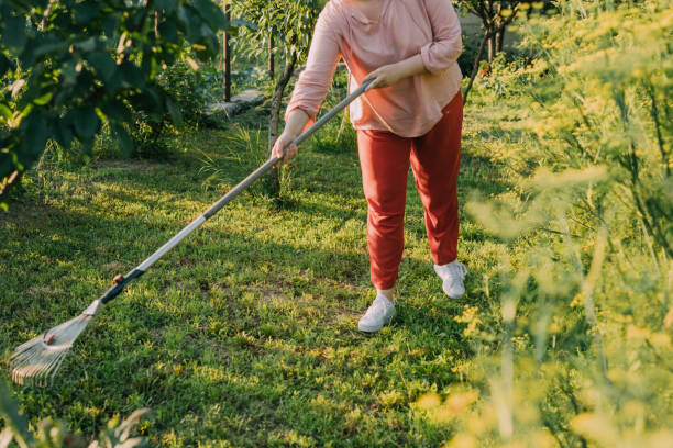 una donna in sovrappeso irriconoscibile che rastrella il suo giardino - women large build gardening outdoors foto e immagini stock