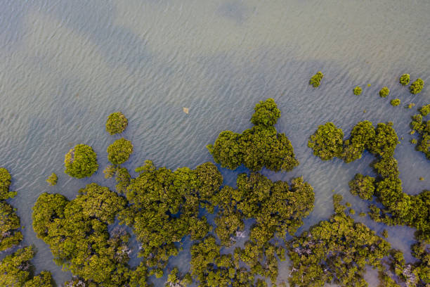 istock Aerial Image in Western Port Bay, Victoria 1367242529