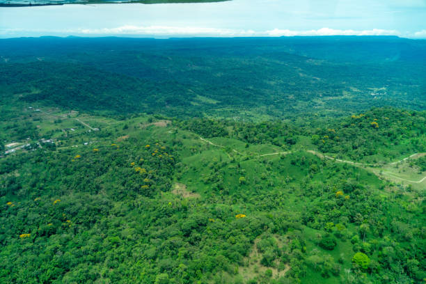 istock View of small amazon town from the air 1367244351