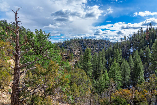 istock Side Canyon on the Arizona Trail 1367246140