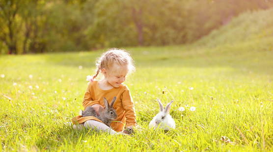the girl sitting on the sunny lawn among the rabbits