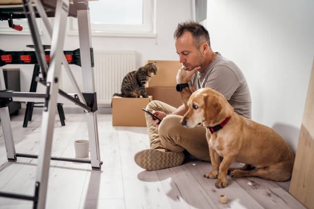 istock a coffee break with my pets while the renovation is in progress 1367252934