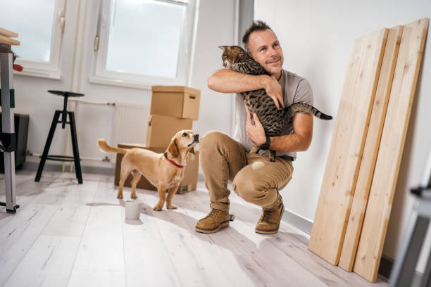 istock moving to a new apartment with a pets 1367253053