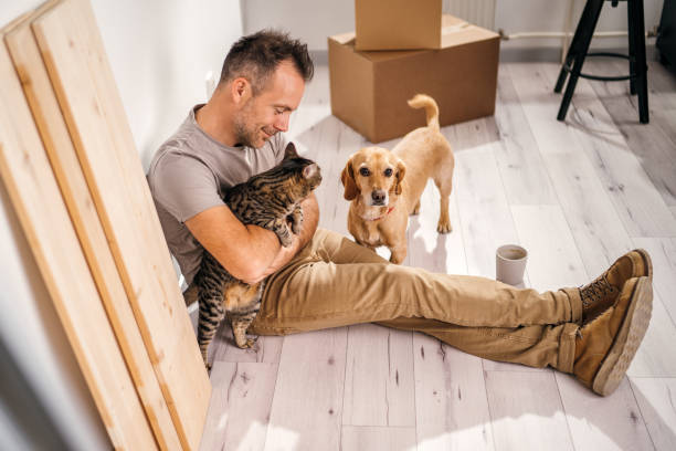 pets being an inspiration while fixing things at home stock photo