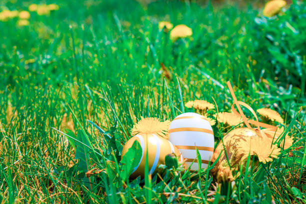 Cute decorated Easter eggs are lying on the grass under a clear sky at sunset. Easy to crop for all social media and print design sizes.