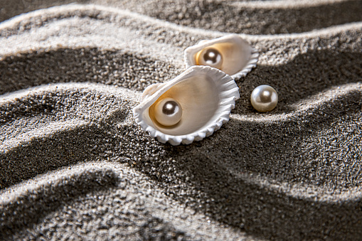 Beach Seashells in the Sand with Pearl