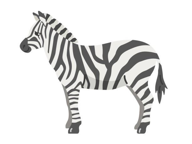245 Cute Zebra Head Clip Art Illustrations & Clip Art - iStock 245 Cute Zebra Head Clip Art Illustrations & Clip Art - iStock