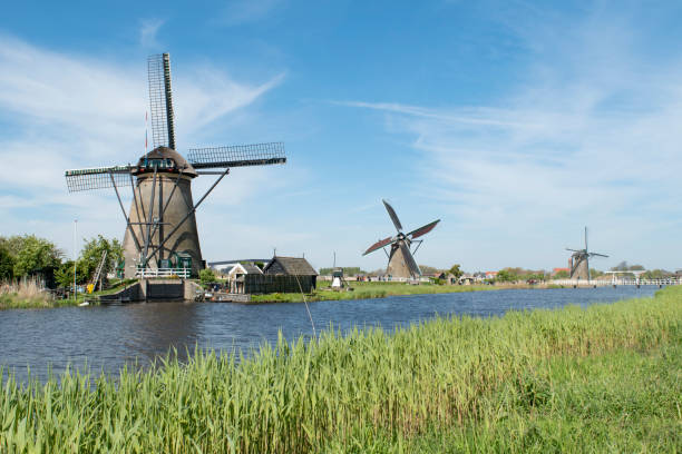 istock Windmills at Kinderdijk-Elshout in The Netherland 1367261530