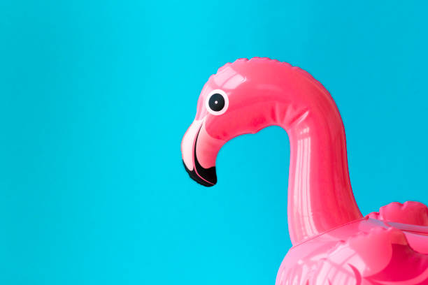 istock Pink, trendy, exploded beach flamingo on a blue background. Copy space. Hit in the summer 1367265771