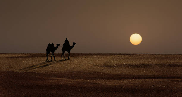 bédouin à dos de chameau au coucher du soleil - pyramid pyramid shape egypt sunset photos et images de collection