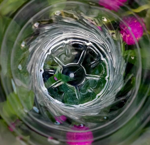 istock in a bottle and purple flowers 1367268466