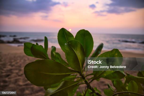 Romantic Sunset On The Beach In Khao Lak Thailand Stock Photo - Download Image Now - Beach, Phuket, Andaman Sea