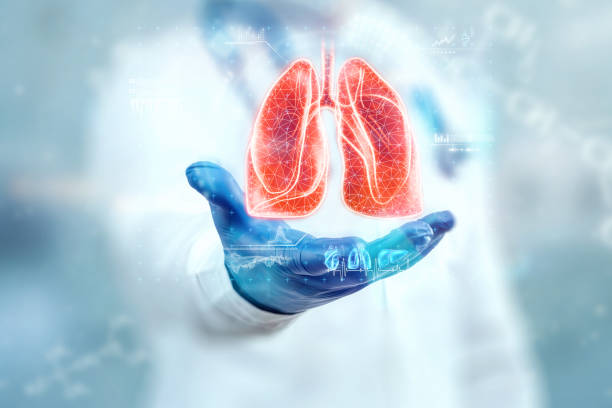 il medico esamina l'ologramma dei polmoni, controlla il risultato del test sull'interfaccia virtuale e analizza i dati. polmonite, donazione, tecnologie innovative, medicina del futuro. - human lung foto e immagini stock